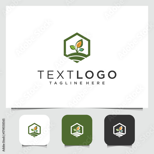hexagon logo design with organic leaf for a sustainable business