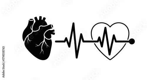 Heart Anatomy and EKG Illustration