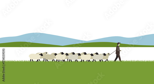 Shepherd leading sheep across beautiful pastoral landscape with rolling hills