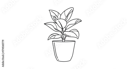 Minimal line drawing of single potted plant, simple decorative houseplant vector illustration.