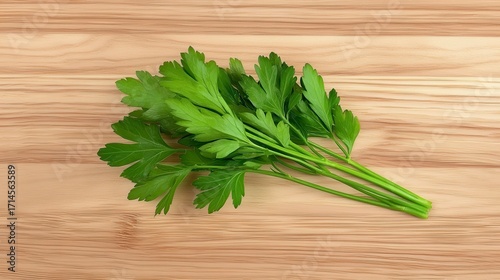 Fresh Parsley Sprig on Wooden Background