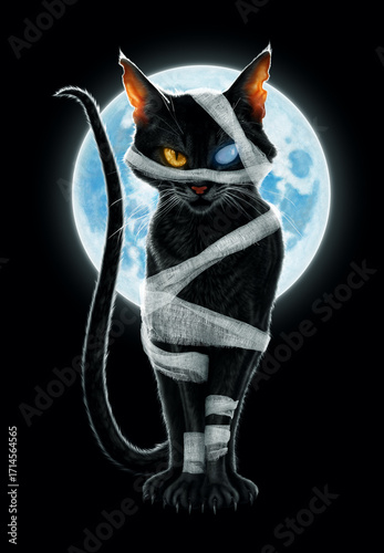 Spooky black cat in mummy costume