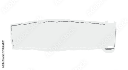 Torn paper edge with rolled design on white background for creative layouts