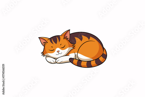 Sleeping cat