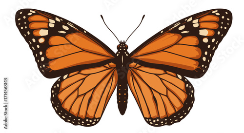 Detailed monarch butterfly with vibrant orange and black wings