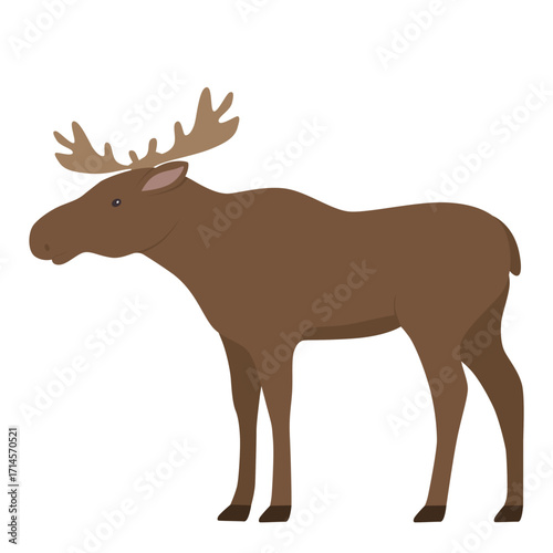 Moose vector illustration showcasing a standing moose with large antlers against a white background. Ideal for nature-themed designs and educational purposes.