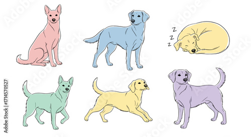 Cartoon vector of colorful dogs in different playful poses, including sitting, standing, and lying down with varied expressions.