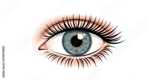 Realistic eye with detailed iris and long eyelashes on white background