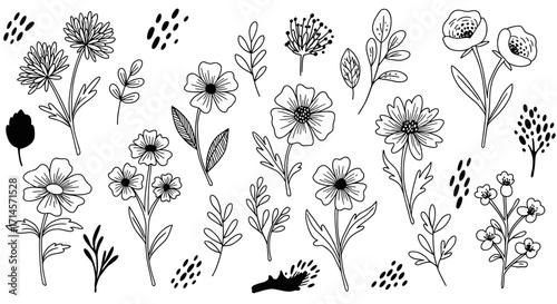 Elegant hand drawn floral elements: black and white botanical clipart set