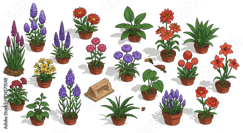 Diverse collection of vibrant potted plants in bloom with snails and bee