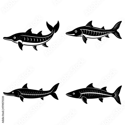 Illustration showing four stylized black and white barracuda fish in different orientations and poses