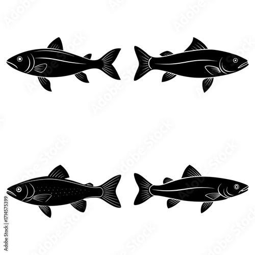 Four stylized fish illustrations in black and white arranged in a symmetrical square pattern design