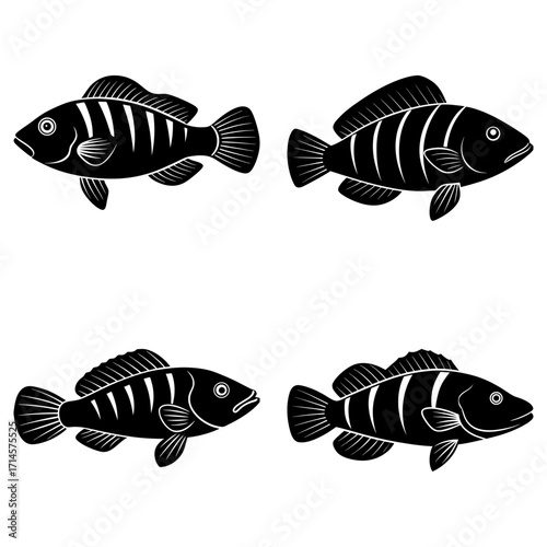 Four stylized black and white fish illustrations with distinct striped patterns and fin details present