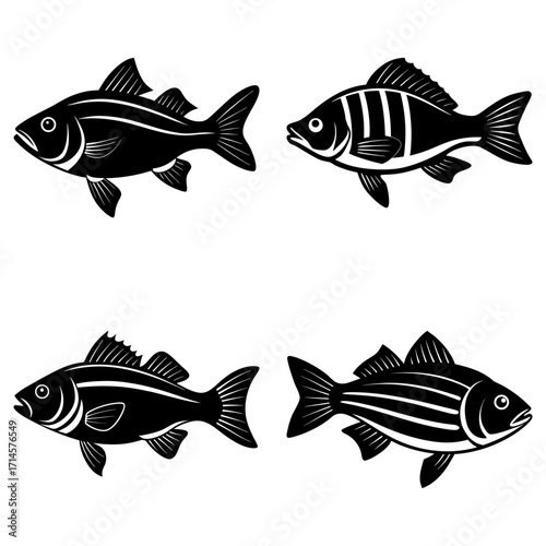 Four stylized fish illustrations in black and white with varying stripe patterns and fin designs