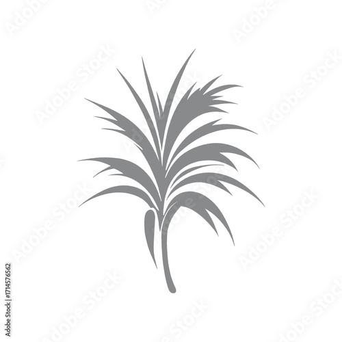 Elegant Palm Frond Silhouette