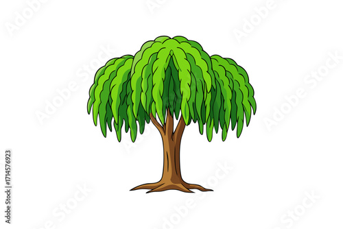 tree isolated on white background