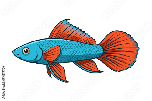 goldfish on white background
