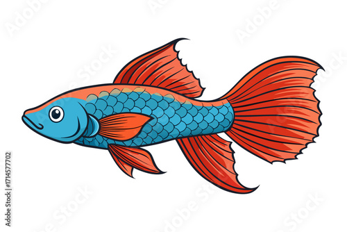 fish on a white background