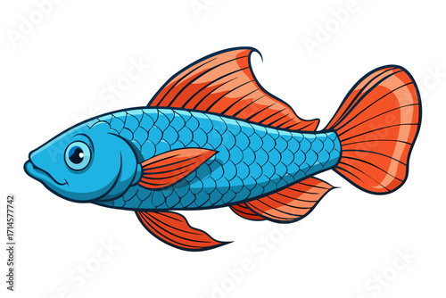 fish on a white background