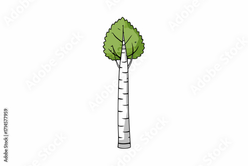 green plant with leaves isolated