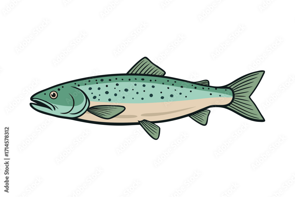 Fototapeta premium fish on white background