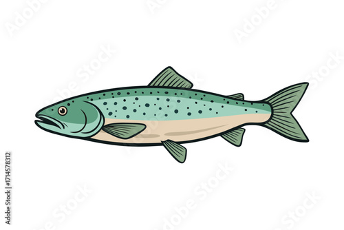 fish on white background