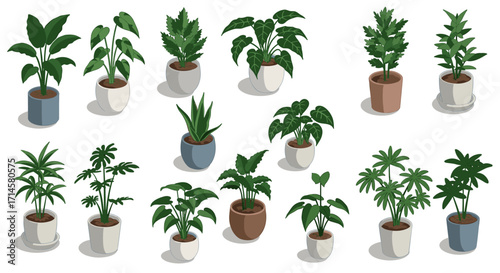 Collection of potted indoor plants in modern flat design