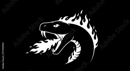 A striking black and white illustration of a snake with flames erupting from its open mouth.