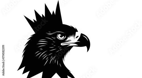 A striking black and white illustration of an eagle's head with a spiky crest.