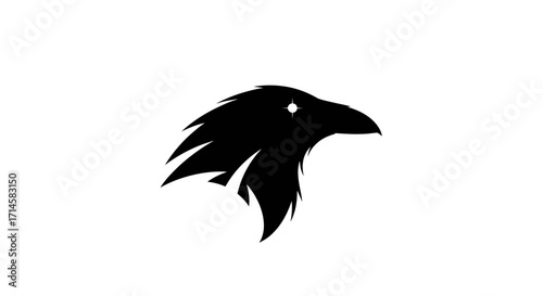 A minimalist black silhouette of a raven's head with a single white eye against a plain white background.
