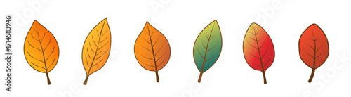 A set of autumn leaves of different colors and shapes with streaks on a white background.