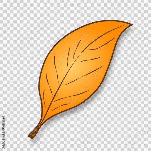 A hand-drawn autumn leaf is isolated on a transparent background.