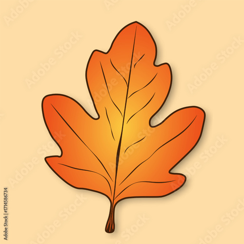 Orange-yellow, simple autumn leaf of a tree with a shadow on a beige background.