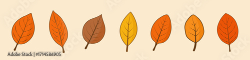 A set of seven autumn leaves of different shapes on a beige background.