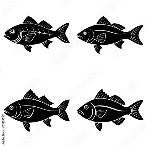 Four stylized black fish illustrations with detailed fins and tails on a white background image art