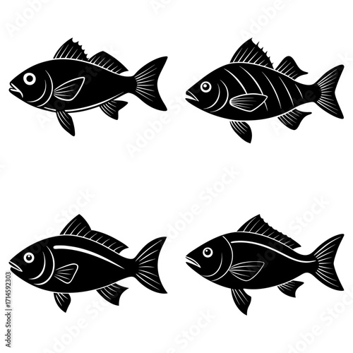 Four stylized fish illustrations in black and white showcasing different fin and body designs in a row