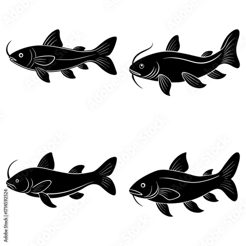 Four black catfish swimming in different directions on a white background in a vector art style