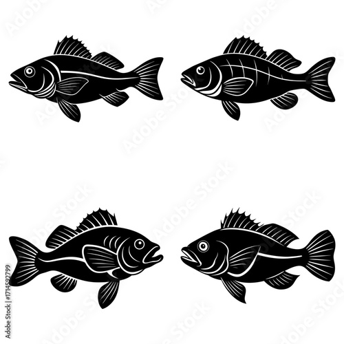 Illustration of four stylized black fish with detailed fins and scales on a white background in vector format