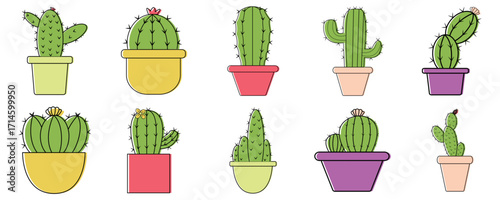 Set of cute cactus vector illustration for houseplants. Exotic plants.
