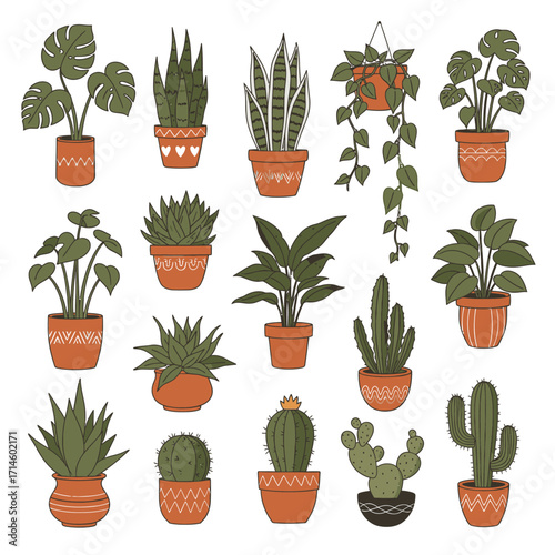 Collection of various potted houseplants and cacti in decorative terracotta pots