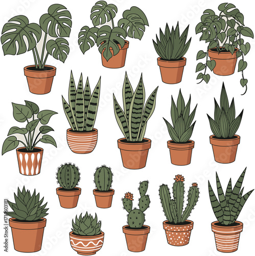 Collection of various potted houseplants and cacti in terracotta pots