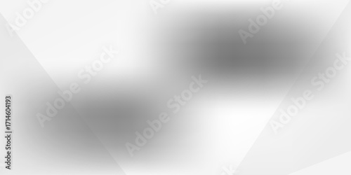 Abstract white and gray background use Overlay for Poster, Web Design, and Graphic Art Project