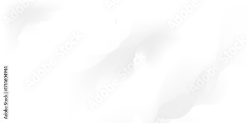 Abstract white and gray background use Overlay for Poster, Web Design, and Graphic Art Project