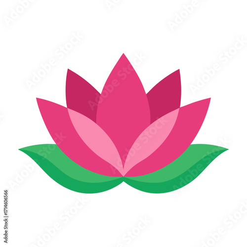 lotus flower vector illustration