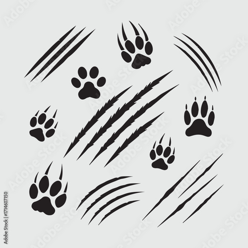 Paw Prints and Scratch Marks Set – Animal Tracks Vector