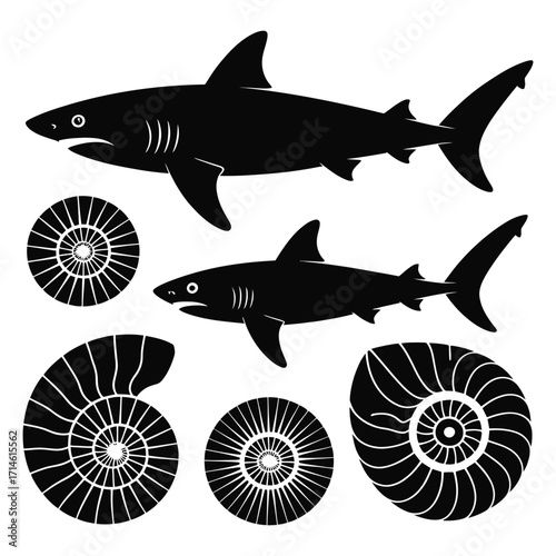 Black sharks and spiral shells marine life ocean