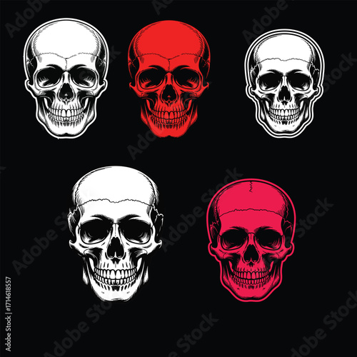 Five human skulls rendered in white and red black background