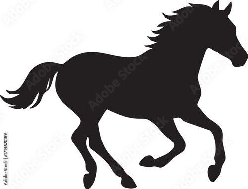 Horse galloping