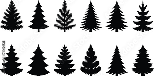 Black tree silhouettes, pine and deciduous forest icons, vector illustration, nature design, holiday and winter background, graphic elements, isolated on white