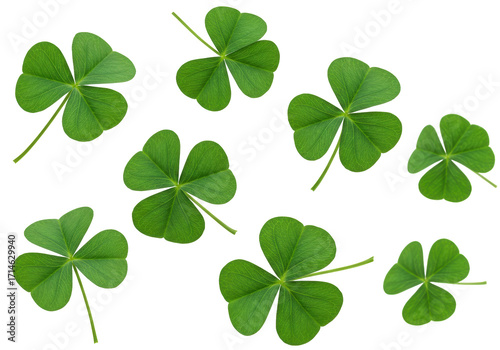 Isolated shamrock plants for St Patricks Day celebration or good luck charms pattern